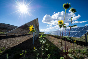 Solar Panels Colorado, US